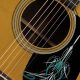 Unlock the Secrets of Acoustic Guitar Pickguards: A Journey of Discovery - Master the Art of Playing Guitar and Play Like a Pro