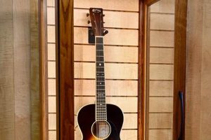 Unlock the Secrets: Unveiling the Power of Humidity Controlled Guitar Cases Master the Art of Playing Guitar and Play Like a Pro Unlock the Secrets: Unveiling the Power of Humidity Controlled Guitar Cases - Master the Art of Playing Guitar and Play Like a Pro
