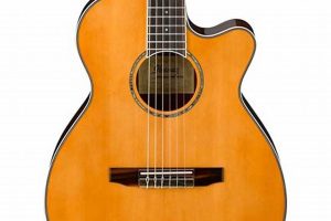 Unlock the Secrets of Cutaway Nylon String Guitars: Discoveries Await Master the Art of Playing Guitar and Play Like a Pro Unlock the Secrets of Cutaway Nylon String Guitars: Discoveries Await - Master the Art of Playing Guitar and Play Like a Pro