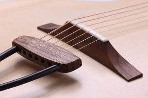 Unveiling the Secrets of the Acoustic Guitar Tailpiece: A Journey of Tone and Playability Master the Art of Playing Guitar and Play Like a Pro Unveiling the Secrets of the Acoustic Guitar Tailpiece: A Journey of Tone and Playability - Master the Art of Playing Guitar and Play Like a Pro