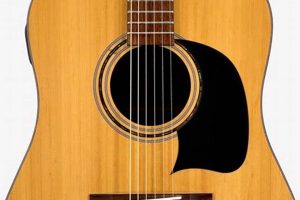 Unveiling the Enchanting Realm of Washburn Lyon Acoustic Guitars Master the Art of Playing Guitar and Play Like a Pro Unveiling the Enchanting Realm of Washburn Lyon Acoustic Guitars - Master the Art of Playing Guitar and Play Like a Pro