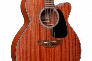 Uncover the Secrets of Acoustic-Electric Guitar Excellence with Takamine Master the Art of Playing Guitar and Play Like a Pro Uncover the Secrets of Acoustic-Electric Guitar Excellence with Takamine - Master the Art of Playing Guitar and Play Like a Pro