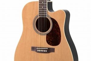 Unleash the Rogue: Discover the Unconventional World of Acoustic Guitar Innovation Master the Art of Playing Guitar and Play Like a Pro Unleash the Rogue: Discover the Unconventional World of Acoustic Guitar Innovation - Master the Art of Playing Guitar and Play Like a Pro