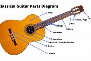 Unveiling the Secrets: Your Acoustic Guitar Parts Exploration Master the Art of Playing Guitar and Play Like a Pro Unveiling the Secrets: Your Acoustic Guitar Parts Exploration - Master the Art of Playing Guitar and Play Like a Pro