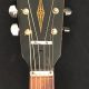 Unveil the Secrets of Framus Acoustic Guitars: A Journey of Discovery - Master the Art of Playing Guitar and Play Like a Pro