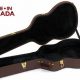 Unveiling the Secrets of Resonator Guitar Case: A Journey to Perfect Protection - Master the Art of Playing Guitar and Play Like a Pro