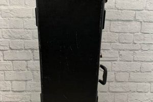 Your Ultimate Guide to the Best Road Runner Guitar Hard Cases: Discover Protection and Peace of Mind Master the Art of Playing Guitar and Play Like a Pro Your Ultimate Guide to the Best Road Runner Guitar Hard Cases: Discover Protection and Peace of Mind - Master the Art of Playing Guitar and Play Like a Pro