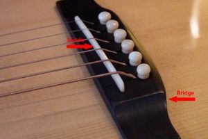 Discover the Hidden Secrets of Acoustic Guitar Bridges and Saddles: Unlock Your Guitar's True Potential Master the Art of Playing Guitar and Play Like a Pro Discover the Hidden Secrets of Acoustic Guitar Bridges and Saddles: Unlock Your Guitar's True Potential - Master the Art of Playing Guitar and Play Like a Pro