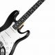 Unveil the Secrets of the Electric Guitar in Black and White - Master the Art of Playing Guitar and Play Like a Pro