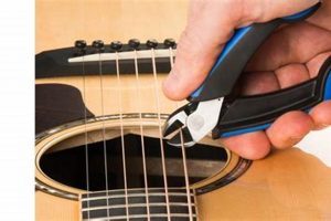 Discoveries and Insights: Unveiling the Secrets of String Cutters for Guitar Master the Art of Playing Guitar and Play Like a Pro Discoveries and Insights: Unveiling the Secrets of String Cutters for Guitar - Master the Art of Playing Guitar and Play Like a Pro