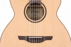 Discover the Harmony: Unveiling the Secrets of Takamine Nylon String Guitars Master the Art of Playing Guitar and Play Like a Pro Discover the Harmony: Unveiling the Secrets of Takamine Nylon String Guitars - Master the Art of Playing Guitar and Play Like a Pro