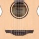 Discover the Harmony: Unveiling the Secrets of Takamine Nylon String Guitars - Master the Art of Playing Guitar and Play Like a Pro