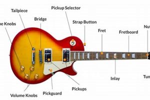 Discover the Secrets of Electric Guitar Labeling: An Enlightening Exploration Master the Art of Playing Guitar and Play Like a Pro Discover the Secrets of Electric Guitar Labeling: An Enlightening Exploration - Master the Art of Playing Guitar and Play Like a Pro