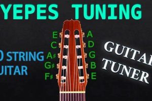 Unlock the Sonic Frontiers of 10-String Guitar Tuning Master the Art of Playing Guitar and Play Like a Pro Unlock the Sonic Frontiers of 10-String Guitar Tuning - Master the Art of Playing Guitar and Play Like a Pro
