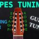 Unlock the Sonic Frontiers of 10-String Guitar Tuning - Master the Art of Playing Guitar and Play Like a Pro