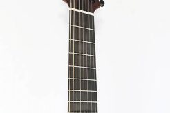 Unveiling the Secrets of the Eight-String Acoustic Guitar: A Journey of Discovery Master the Art of Playing Guitar and Play Like a Pro Unveiling the Secrets of the Eight-String Acoustic Guitar: A Journey of Discovery - Master the Art of Playing Guitar and Play Like a Pro