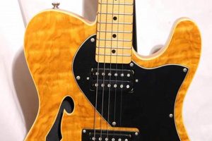 Unveil the Secrets of Douglas Electric Guitars: A Journey of Discovery Master the Art of Playing Guitar and Play Like a Pro Unveil the Secrets of Douglas Electric Guitars: A Journey of Discovery - Master the Art of Playing Guitar and Play Like a Pro