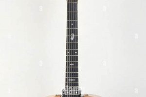 Unveiling the Electric Revolution: Discoveries of the 1930s Electric Guitar Master the Art of Playing Guitar and Play Like a Pro Unveiling the Electric Revolution: Discoveries of the 1930s Electric Guitar - Master the Art of Playing Guitar and Play Like a Pro