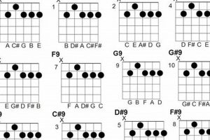 "Guitar 9 Chords": Your Guide to Unlocking Musical Possibilities Master the Art of Playing Guitar and Play Like a Pro "Guitar 9 Chords": Your Guide to Unlocking Musical Possibilities - Master the Art of Playing Guitar and Play Like a Pro