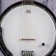 Unveiling the Secrets of the 6-String Banjo Guitar: A Journey of Discovery - Master the Art of Playing Guitar and Play Like a Pro