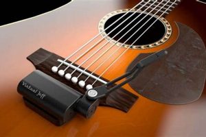 Unleash the Sonic Spectrum: Discover the Acoustic Guitar with Whammy Bar Master the Art of Playing Guitar and Play Like a Pro Unleash the Sonic Spectrum: Discover the Acoustic Guitar with Whammy Bar - Master the Art of Playing Guitar and Play Like a Pro