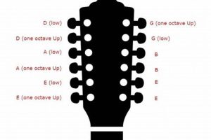 Unleash the Enigmatic Sounds of 12 String Guitar Notes Master the Art of Playing Guitar and Play Like a Pro Unleash the Enigmatic Sounds of 12 String Guitar Notes - Master the Art of Playing Guitar and Play Like a Pro