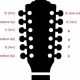 Unleash the Enigmatic Sounds of 12 String Guitar Notes - Master the Art of Playing Guitar and Play Like a Pro