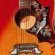 Unveiling the Enchanting World of Dove Acoustic Guitars: Discoveries and Insights - Master the Art of Playing Guitar and Play Like a Pro