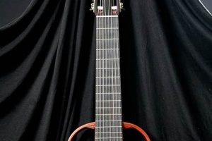 Unleash the Resonance: Discover the Secrets of the 8-String Nylon Guitar Master the Art of Playing Guitar and Play Like a Pro Unleash the Resonance: Discover the Secrets of the 8-String Nylon Guitar - Master the Art of Playing Guitar and Play Like a Pro