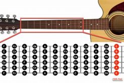 Discover the Secrets of Perfect Acoustic Guitar Frets Master the Art of Playing Guitar and Play Like a Pro Discover the Secrets of Perfect Acoustic Guitar Frets - Master the Art of Playing Guitar and Play Like a Pro