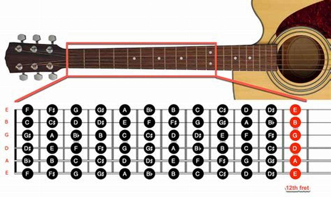 True Frets Discover the Secrets of Perfect Acoustic Guitar Frets