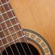 Unlock the Secrets: Nylon Strings on Steel String Guitars - Master the Art of Playing Guitar and Play Like a Pro
