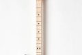 Unveiling the Electric LooG Guitar: Discoveries and Insights Master the Art of Playing Guitar and Play Like a Pro Unveiling the Electric LooG Guitar: Discoveries and Insights - Master the Art of Playing Guitar and Play Like a Pro