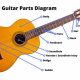 Unveiling the Secrets: Explore the Anatomy of an Acoustic Guitar - Master the Art of Playing Guitar and Play Like a Pro
