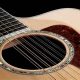 Unleash the Power of the 12 String Guitar: Discover Secrets & Sounds - Master the Art of Playing Guitar and Play Like a Pro