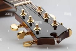 Unleash the Power of Your Acoustic Guitar Head: Discoveries and Insights Await Master the Art of Playing Guitar and Play Like a Pro Unleash the Power of Your Acoustic Guitar Head: Discoveries and Insights Await - Master the Art of Playing Guitar and Play Like a Pro