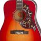 Unveiling the Gibson Hummingbird 12-String: A Sonic Odyssey - Master the Art of Playing Guitar and Play Like a Pro