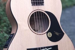 Unveiling the Secrets of "Guitar Maton Acoustic": A Journey of Discovery and Inspiration - Master the Art of Playing Guitar and Play Like a Pro