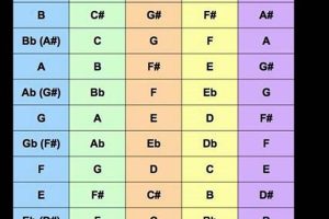 Unlock Your Musical Potential: Discover the Secrets of Transpose Chords Charts for Guitar Master the Art of Playing Guitar and Play Like a Pro Unlock Your Musical Potential: Discover the Secrets of Transpose Chords Charts for Guitar - Master the Art of Playing Guitar and Play Like a Pro