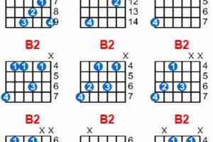 Unlock the Secrets of the b2 Chord: A Journey to Harmonic Mastery Master the Art of Playing Guitar and Play Like a Pro Unlock the Secrets of the b2 Chord: A Journey to Harmonic Mastery - Master the Art of Playing Guitar and Play Like a Pro