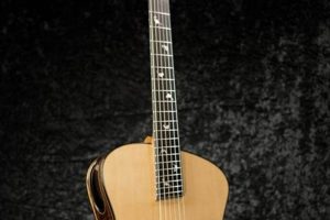 Discoveries in Sound: Unveiling the Fanned Fret Acoustic Guitar Master the Art of Playing Guitar and Play Like a Pro Discoveries in Sound: Unveiling the Fanned Fret Acoustic Guitar - Master the Art of Playing Guitar and Play Like a Pro