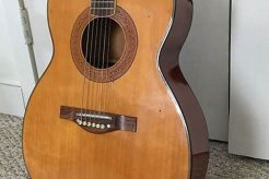 Unveiling the Secrets of Norma Acoustic Guitars: Discoveries and Insights Await Master the Art of Playing Guitar and Play Like a Pro Unveiling the Secrets of Norma Acoustic Guitars: Discoveries and Insights Await - Master the Art of Playing Guitar and Play Like a Pro