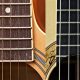 Discover the Sonic Alchemy of Nylon Strings on a Steel-String Acoustic Guitar - Master the Art of Playing Guitar and Play Like a Pro