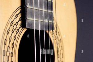Unveil the Secrets of Spanish Guitar Strings: Discover the Perfect Sound Master the Art of Playing Guitar and Play Like a Pro Unveil the Secrets of Spanish Guitar Strings: Discover the Perfect Sound - Master the Art of Playing Guitar and Play Like a Pro