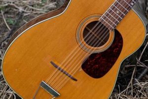 Unveil the Harmony of 12-String Symphony: Discoveries & Insights Await Master the Art of Playing Guitar and Play Like a Pro Unveil the Harmony of 12-String Symphony: Discoveries & Insights Await - Master the Art of Playing Guitar and Play Like a Pro