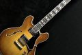 Unveiling the Secrets of Eastman Electric Guitars: A Journey of Discovery Master the Art of Playing Guitar and Play Like a Pro Unveiling the Secrets of Eastman Electric Guitars: A Journey of Discovery - Master the Art of Playing Guitar and Play Like a Pro