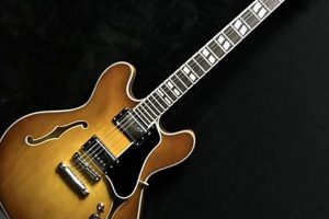 Unveiling the Secrets of Eastman Electric Guitars: A Journey of Discovery Master the Art of Playing Guitar and Play Like a Pro Unveiling the Secrets of Eastman Electric Guitars: A Journey of Discovery - Master the Art of Playing Guitar and Play Like a Pro