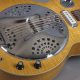 Unveiling the Allure of the Electric Dobro Guitar: Discoveries and Insights - Master the Art of Playing Guitar and Play Like a Pro