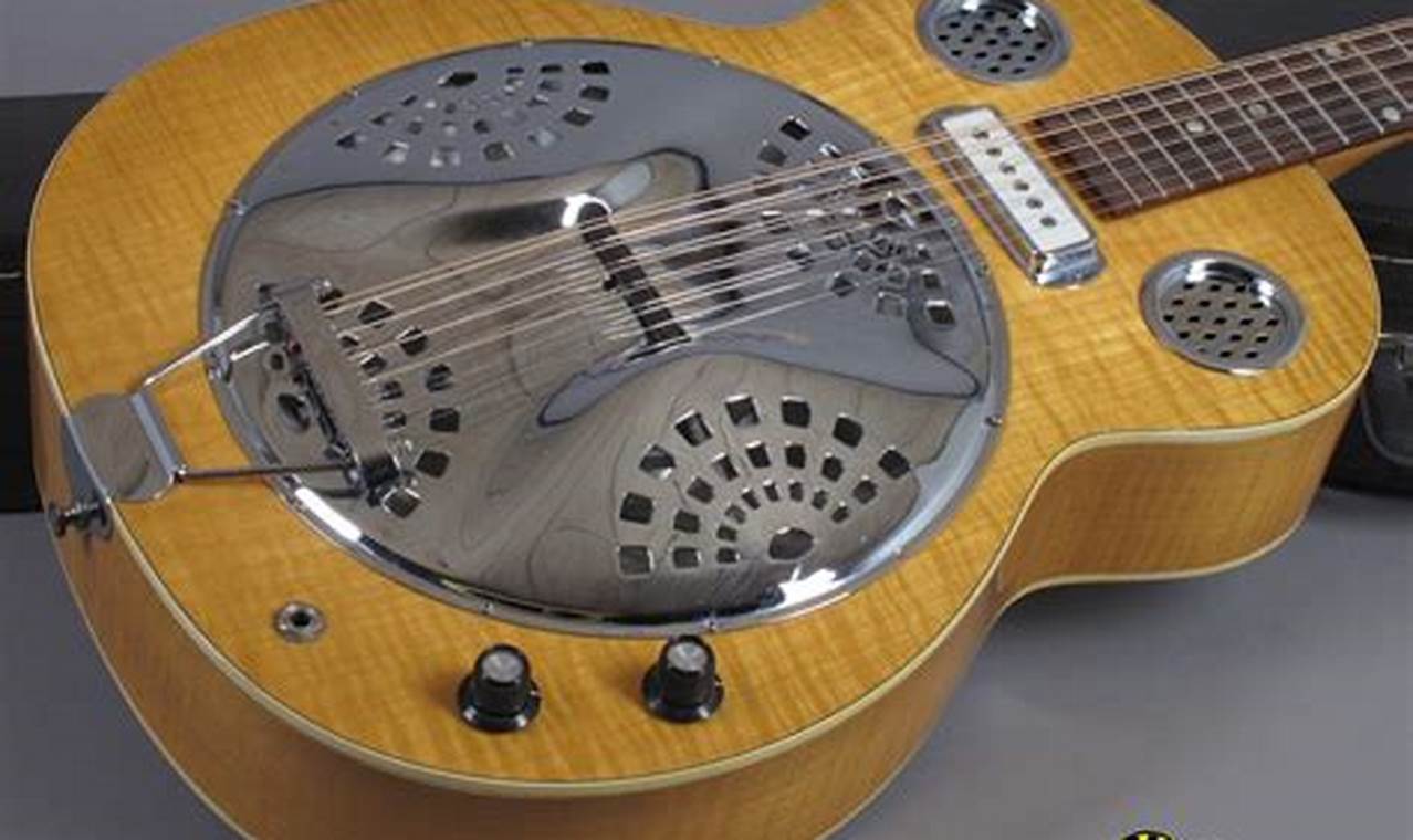 Unveiling the Allure of the Electric Dobro Guitar: Discoveries and Insights