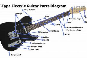 Unveiling the Secrets: Uncover the World of Electric Guitar Labels Master the Art of Playing Guitar and Play Like a Pro Unveiling the Secrets: Uncover the World of Electric Guitar Labels - Master the Art of Playing Guitar and Play Like a Pro
